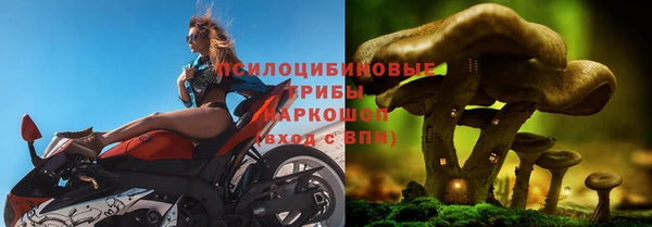 каннабис Богданович