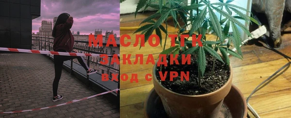 spice Богородск