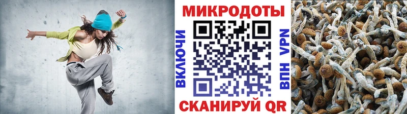 hydra онион  Верхняя Тура  Галлюциногенные грибы ЛСД  цена наркотик 